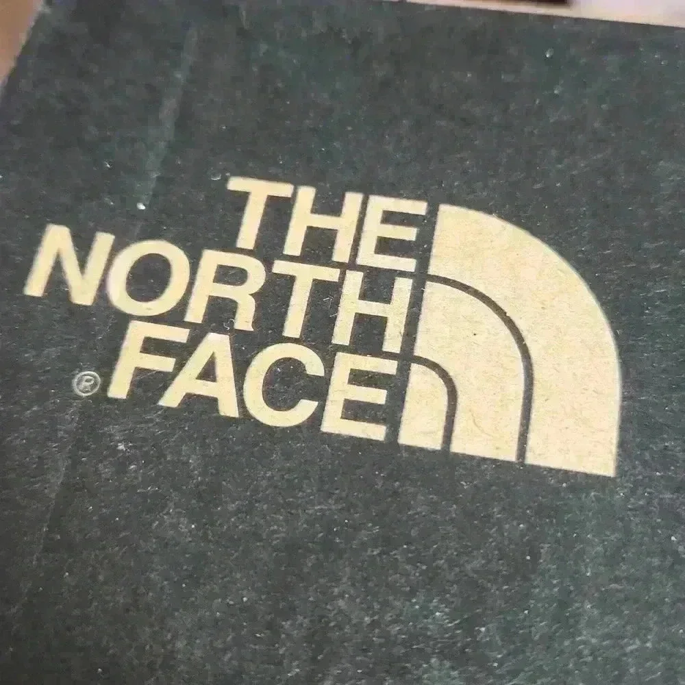 THE NORTH FACE Mens Vectiv Taraval size 11 burnt Ochre /Agave Green - Picture 12 of 12